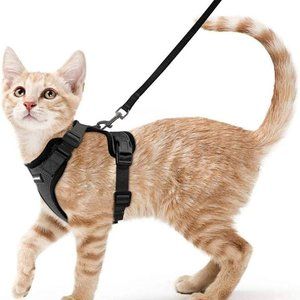 Cat Harness and Leash, NEW